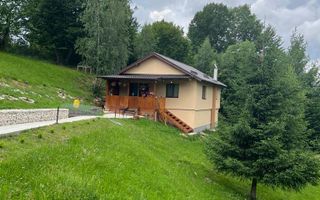 CASA 3 CAMERE, TEREN 3100 MP, ALBESTI DE MUSCEL, ARGES - Poză 4
