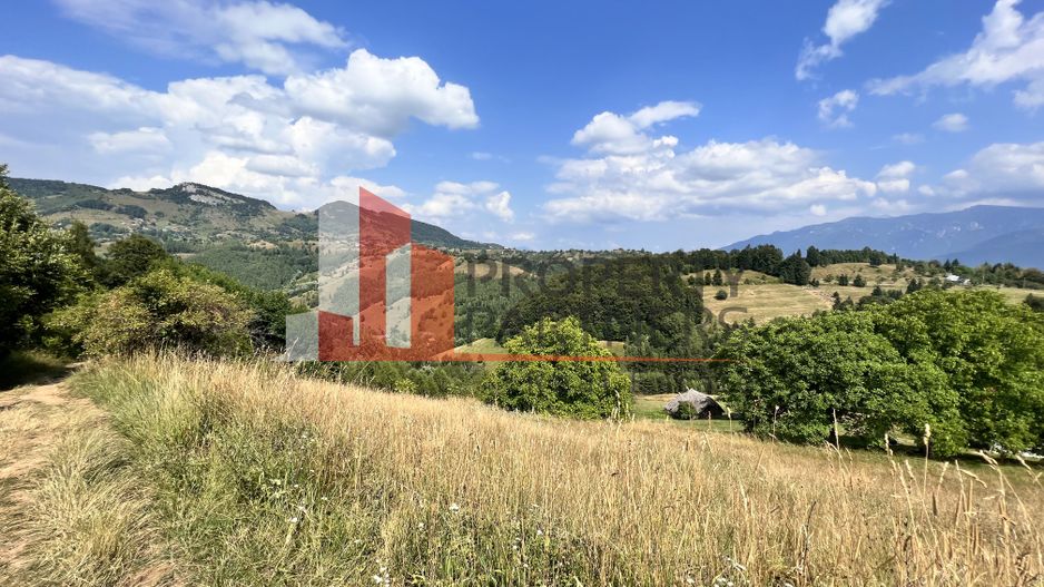 Teren de vânzare langa  Peștera Liliecilor  in Sat Pestera - Poză 3