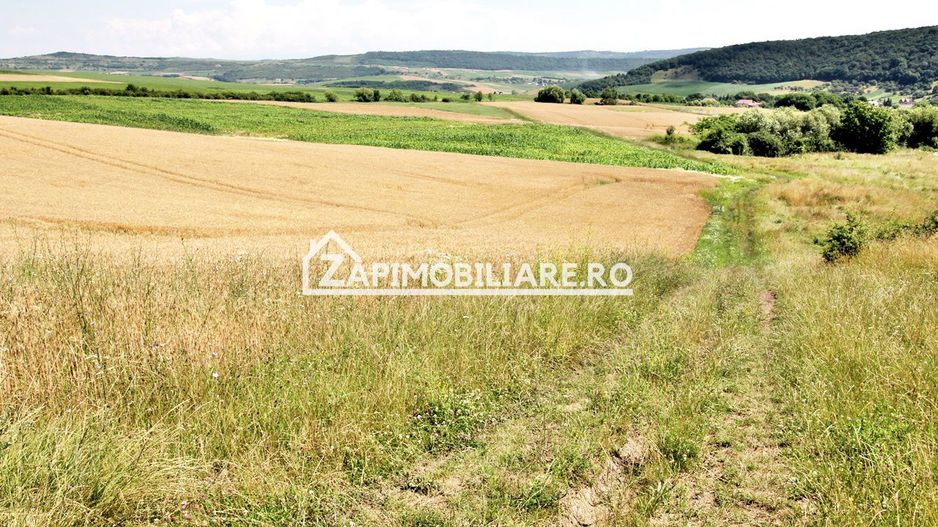 Teren 9.600 mp.17 euro mp deschidere la drum 200 m. - Poză 7