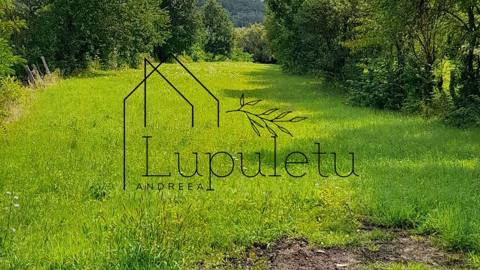 Teren Intravilan | 1500 MPU | Tocile, Comuna Sadu - Poză 1