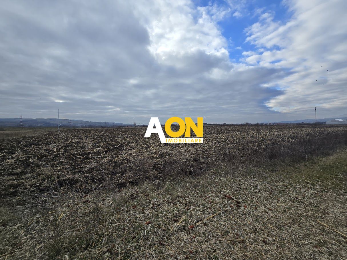 Teren Intravilan 10.000MP Zona Partos - Poză 4