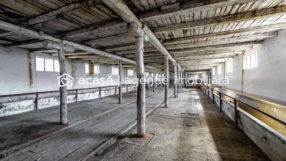Fermă Mândruloc 2,5 ha - Poză 9