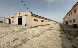 Hale 9000mp-Teren 24.000mp-Industrial-Dolj-Curent Trifazic-Investitie - Poză 3