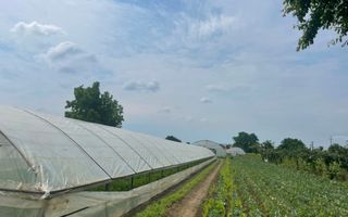 Teren intravilan***1439 mp***Cretesti-Vidra-Ilfov - Poză 5