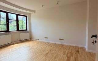 Spațiu de birouri PREMIUM | 160 mp | Vila renovată | Platou | Parcare - Poză 8