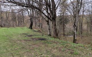 Teren Intravilan |2000Mp| Valea Avrigului - Poză 1