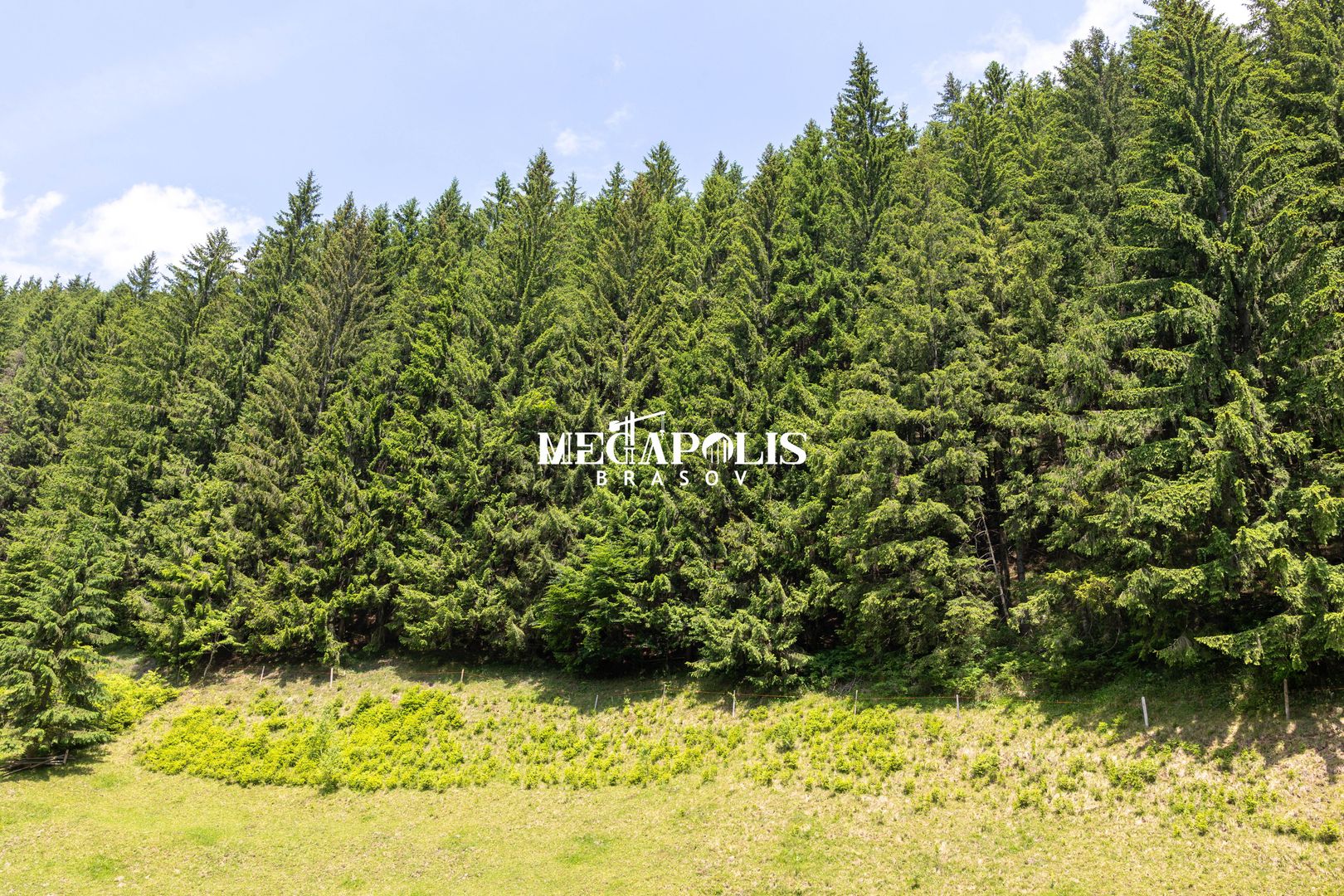 Pretabil Hotel,Pensiune,Case de Vacanta/Utilitati/PUZ - Poză 23