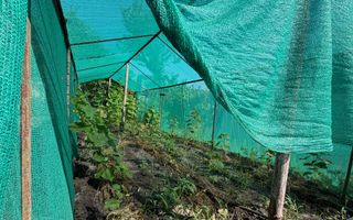 De vânzare lot pentru casă de vacanță- Răzeni, Ialoveni ,La doar câțiva pasi de Lacul Piatihatka - Poză 25