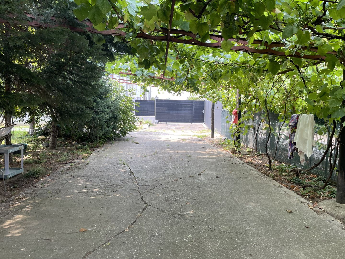 VOLUNTARI - Catedrala | Casa 7 Camere + Constructie Secundara - Poză 3