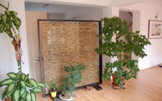 Vila cocheta 3 camere in cartierul Azur, Pipera - Poză 2