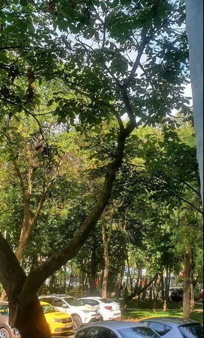 Apartament 2 camere de vanzare metroul Raul Doamnei - Poză 1