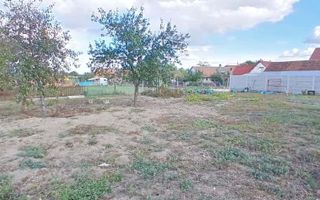 Teren de vânzare: 504 mp - Becicherecu Mic, poziție excelentă, în vatra satului! - Poză 6