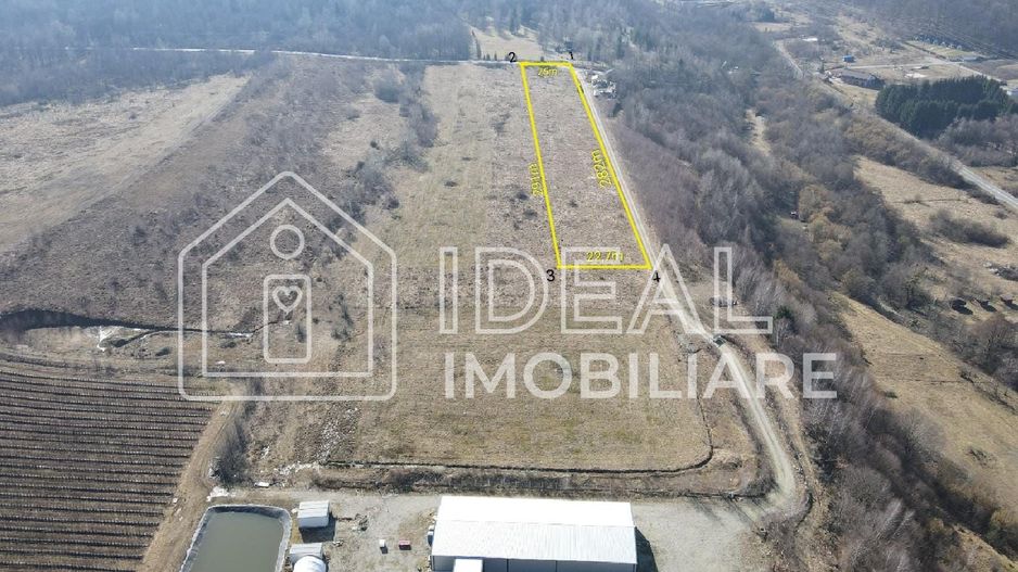 Teren extravilan 6.500 mp – Cârțișoara | Comision 0% - Poză 1