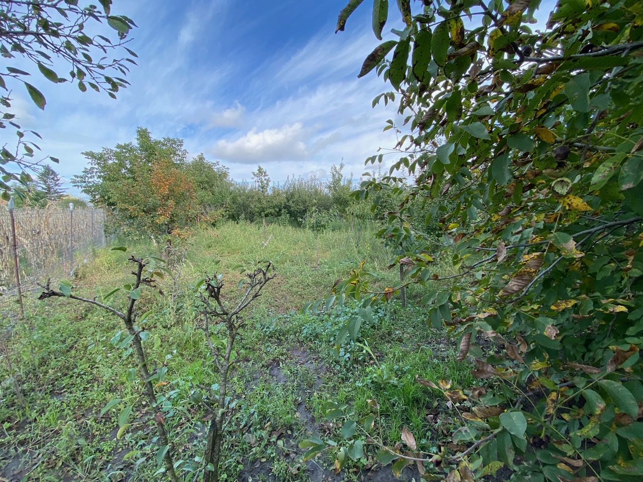 Casa in Dudestii teren 2712 mp - Poză 17