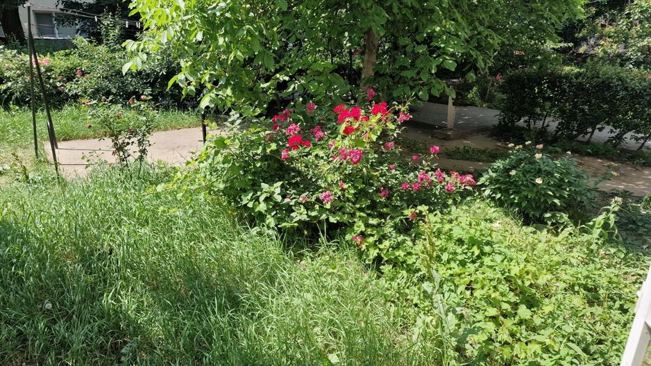 țApartament cu 2 camere de vânzare în zona Mioritei - Poză 15