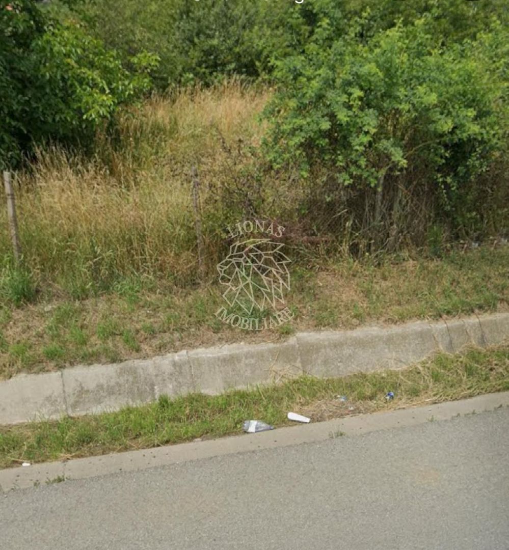 Teren intravilan 3400 mp-deschidere la DN17-Viisoara - Poză 2