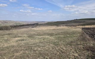 Teren de vanzare Pata Cluj - Poză 4