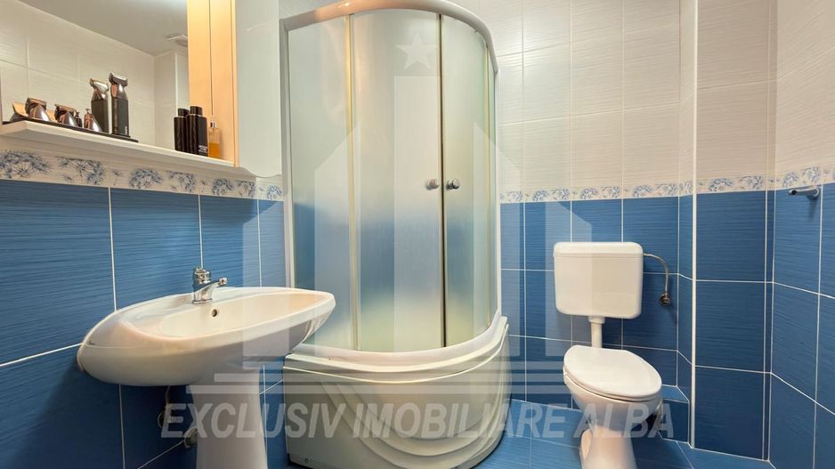 Casa insiruita | De vanzare | 160 mp | Centru-Lipoveni - Poză 10