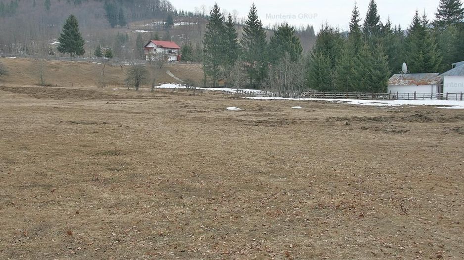 VALEA DOFTANEI - Traisteni, langa Conacul Dascalu, vanzare 2.537 mp. teren - Poză 8