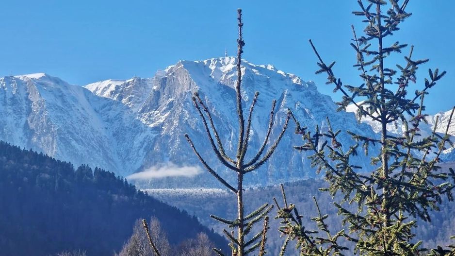 Casa de vacanta la liziera padurii cu vedere libera catre muntii Bucegi - Poză 15