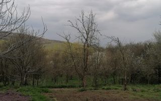 Casă de vânzare în Cerisor – liniște, natură și teren generos! - Poză 3