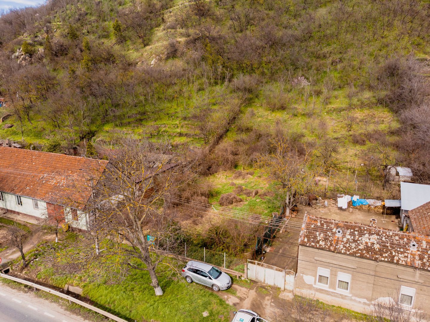 Teren Intravilan Pauliș - Poză 12