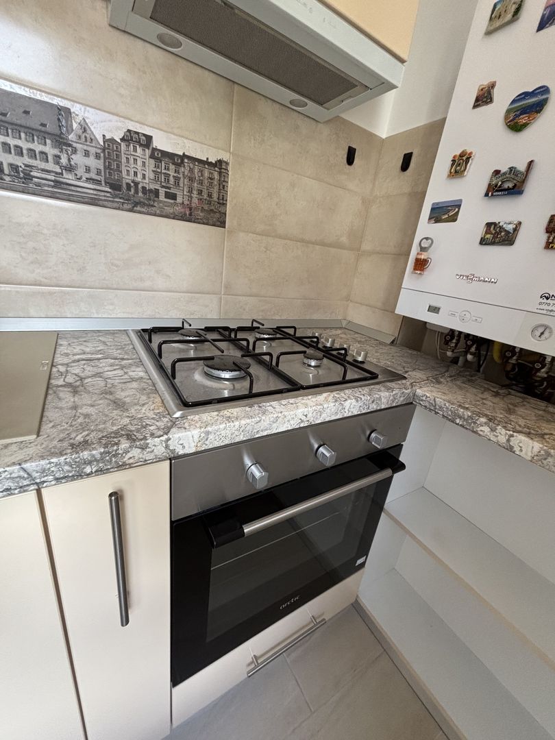 VILA | 2 CAMERE | CURTE - Poză 16