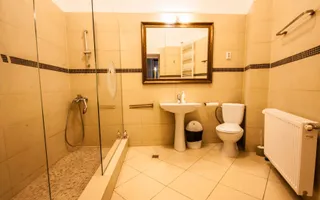 Vanzare | Apartament Tip Vila | Marasesti | Renovat Complet - Poză 12
