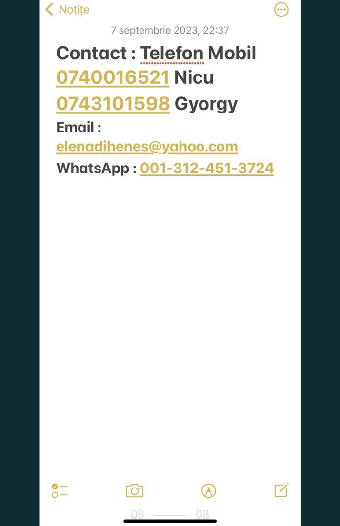 Ocazie unica 2case +1 loc casa/teren - Poză 3