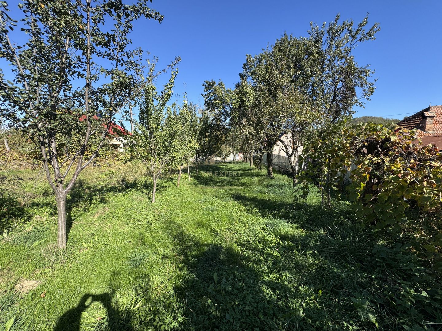 CASA 4 CAMERE TEREN 800 MP CAPUL PISCULUI COMUNA GODENI JUD. ARGES - Poză 21