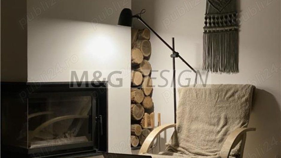 Apart deosebit pe malul Begai - Poză 2