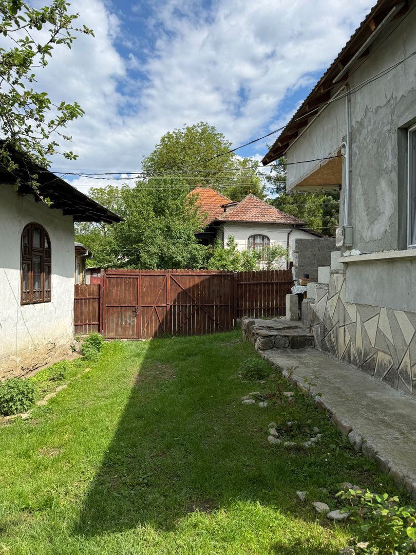 2 Case + teren 1390 mp langa parcul central Provita de Sus - Poză 38
