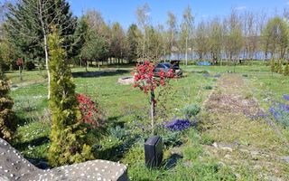 Teren Intravilan | 1150 mp | Săliște - Poză 8