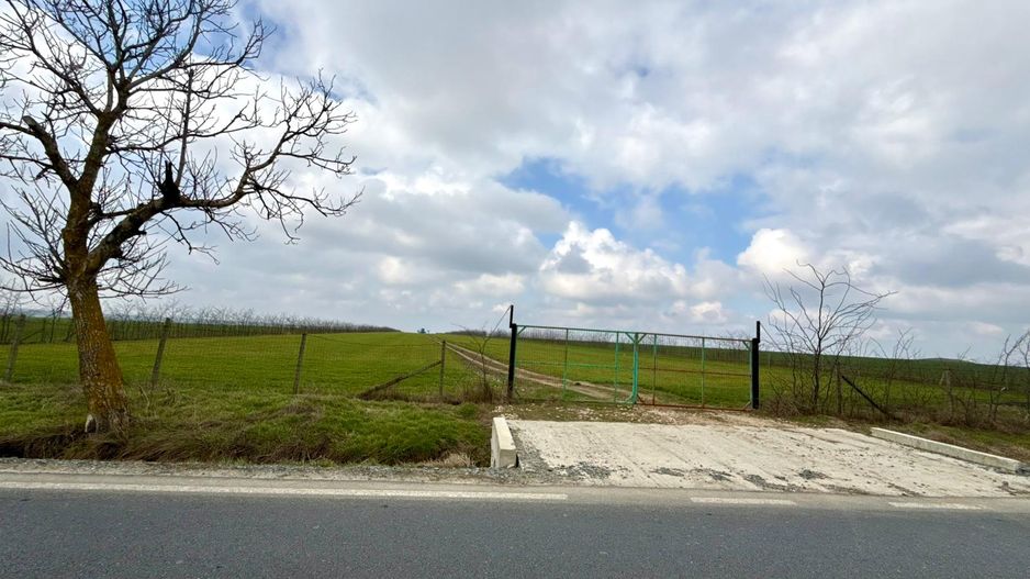 Teren de vanzare in Săcele ideal pentru silozuri, fermă 6 ha - Poză 18