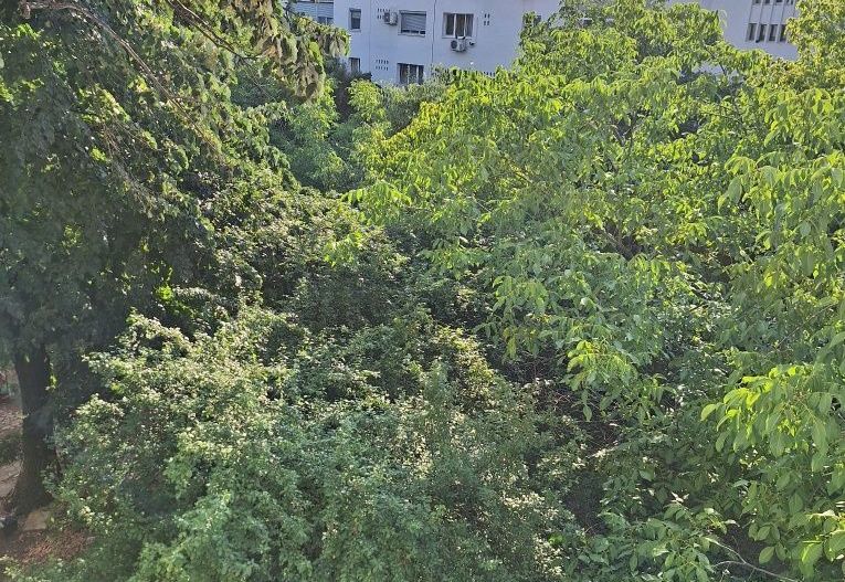 Apartament 3 camere renovat integral, etaj 3/4, lângă metrou Păcii - Poză 6