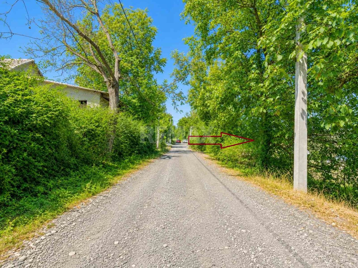 TEREN PENTRU CONSTRUCȚIE – 12 ARI | FUNDUL GALBENEI, HÎNCEȘTI - Poză 4