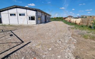 Inchiriere Hală Producție/Depozitare 300 mp, Teren 1791 mp - Carei - Poză 8