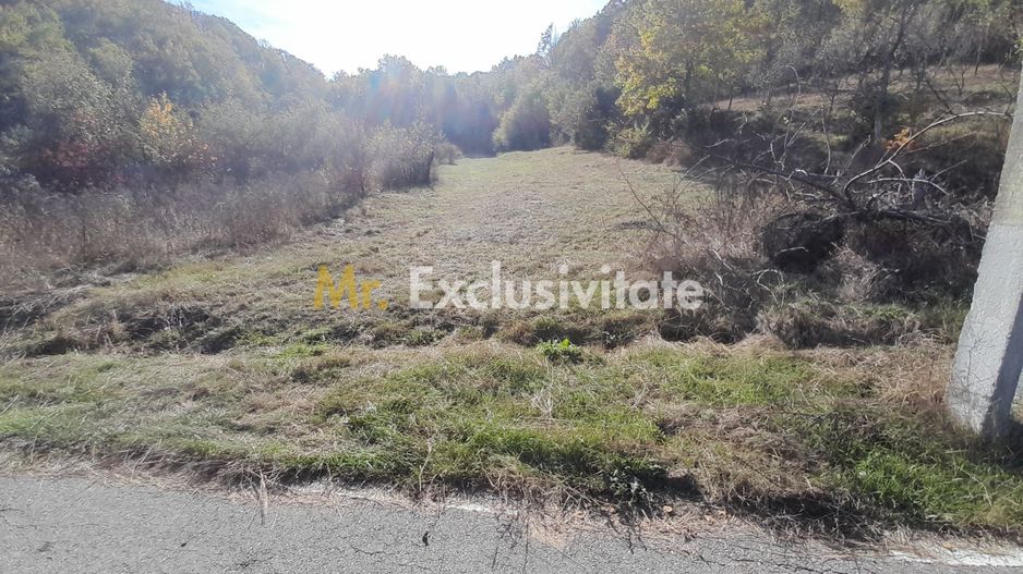 TEREN DE VANZARE IN BABANA, ARGES,  LANGA PADURE - Poză 4