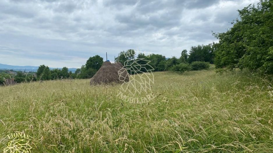 Teren Intravilan 3093 mp-ideal case/cabane/pensiune-Bistrita Bargaului - Poză 5