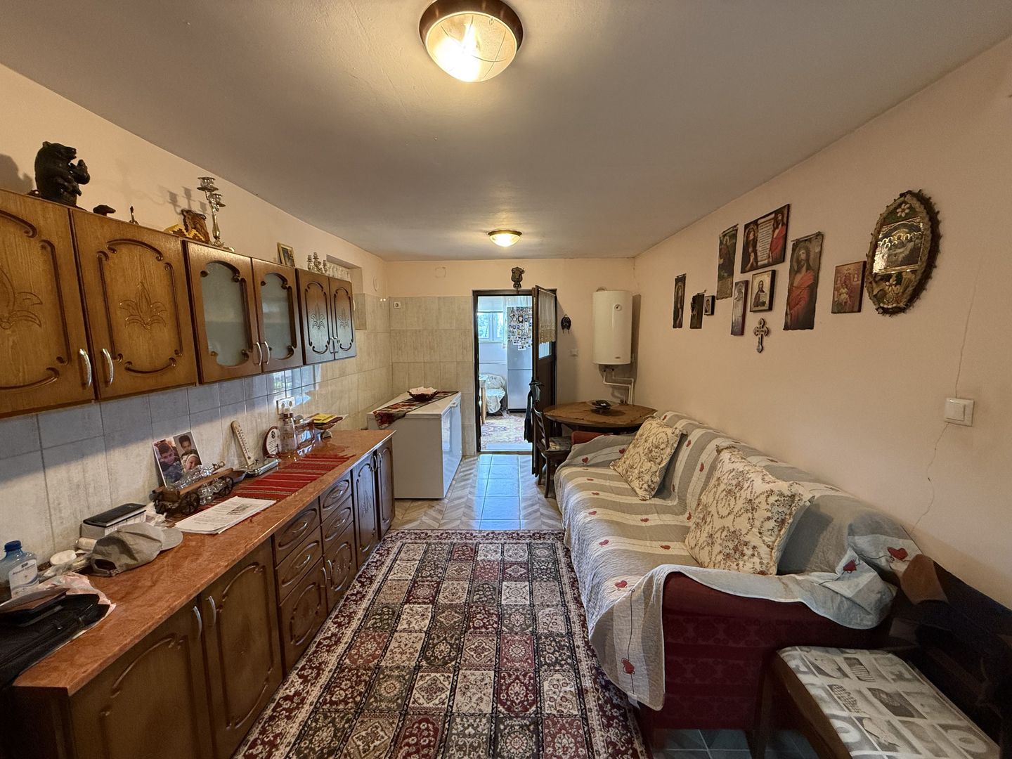 2 Case + teren 1390 mp langa parcul central Provita de Sus - Poză 8