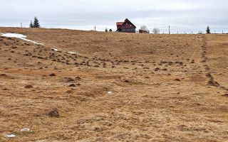 4663mp, in Statiunea Turistica Montana BELIS – FANTANELE, jud. Cluj - Poză 3