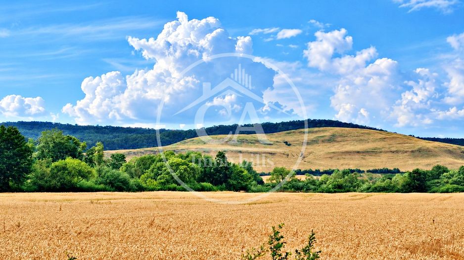 Teren intravilan de vanzare in Fughiu, Bihor - Poză 1
