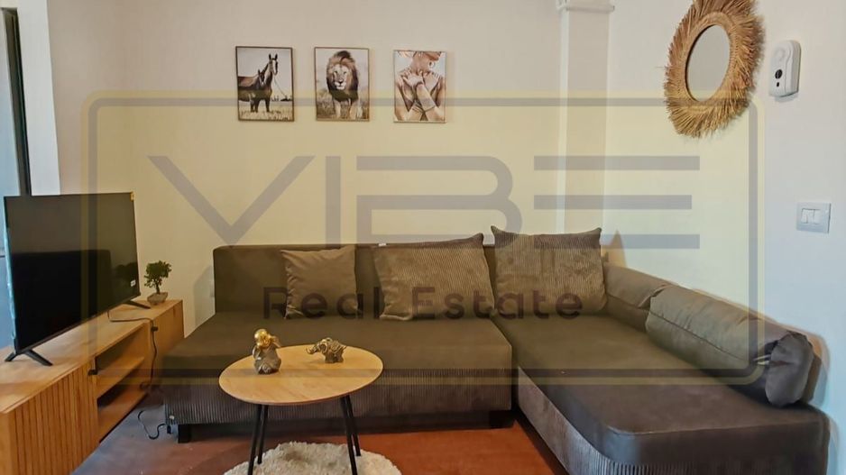 Vișan - Bloc nou-prima închiriere - 2 camere -299 euro! - Poză 17