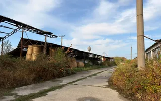 Fermă Sărand | Bihor | 25.659 mp teren intravilan - Poză 26