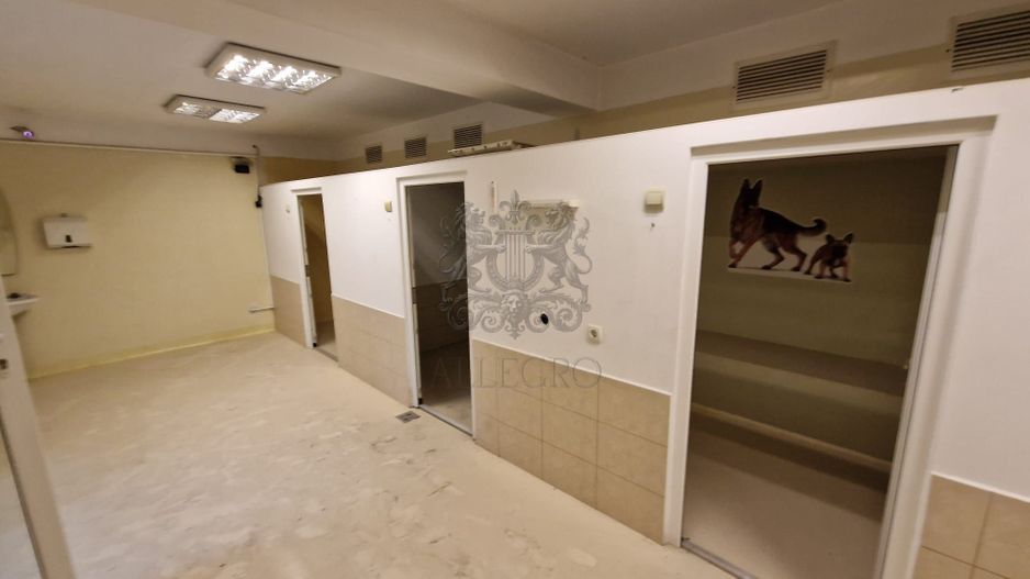 Voluntari | Cladire unica | Spatiu comercial versatil | 1316 mp - Poză 6