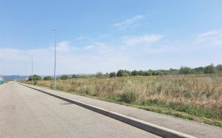 Teren industrial autorizat pentru hala - Poză 2