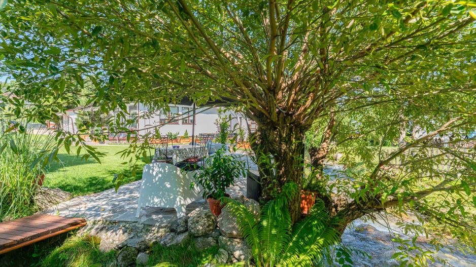 Pensiune de vânzare în Bran, cu rating 9.8 Booking și 4.9 Google - Poză 7