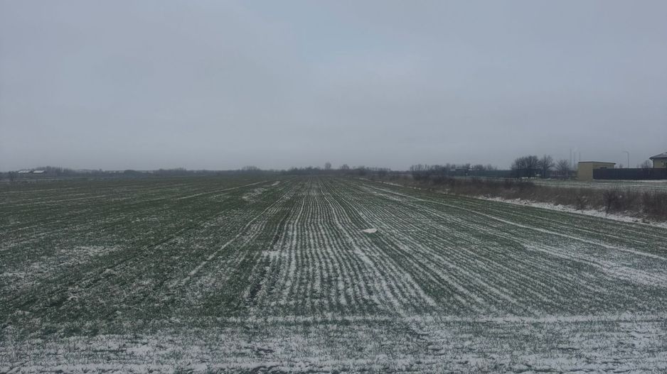 COMISION 0% | Teren intravilan | 5.000 mp | Front stradal 12,5 m | Șag - Poză 3