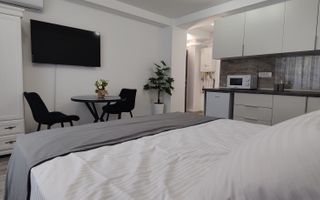 Studio modern, 30 mp | Strada Samuil Vulcan - Poză 1