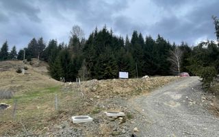 Teren parcelabil cu acces rapid la lacul Colibita - Poză 5